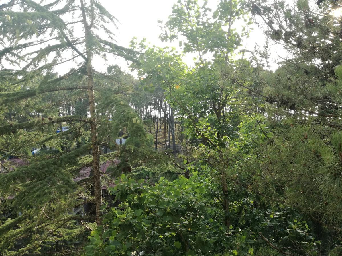 אורקי Studio Apartment With Great View מראה חיצוני תמונה