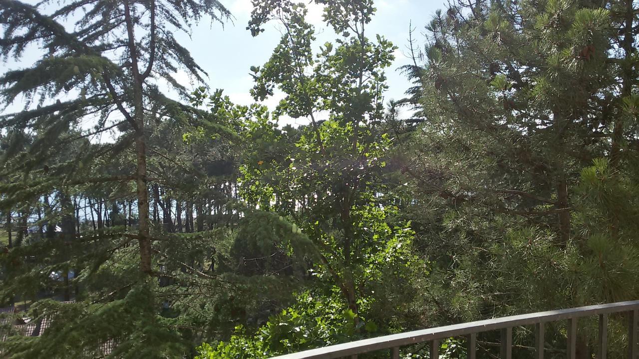 אורקי Studio Apartment With Great View מראה חיצוני תמונה